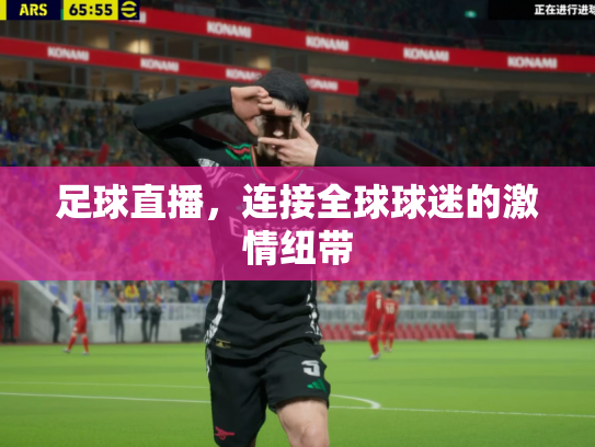 足球直播，连接全球球迷的激情纽带