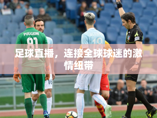 足球直播，连接全球球迷的激情纽带