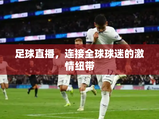 足球直播，连接全球球迷的激情纽带