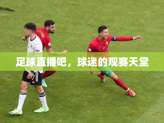 足球直播吧，球迷的观赛天堂