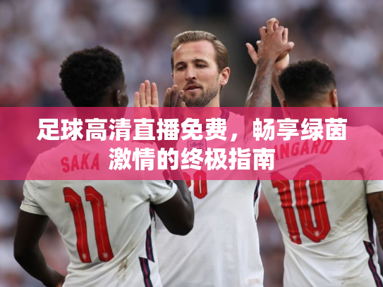 足球高清直播免费，畅享绿茵激情的终极指南