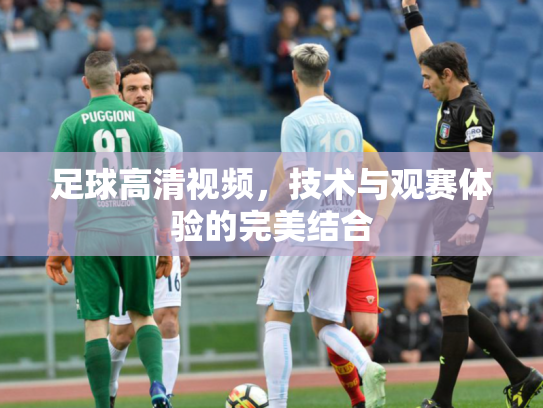 足球高清视频，技术与观赛体验的完美结合