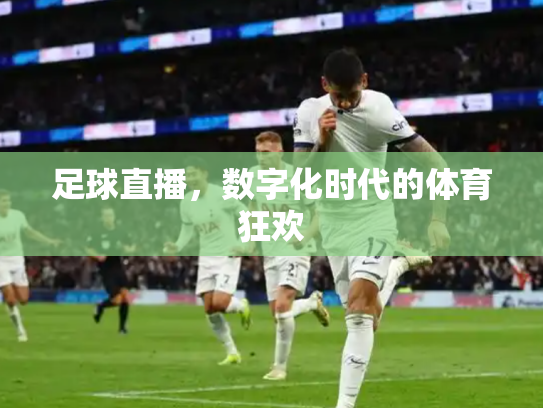 足球直播，数字化时代的体育狂欢