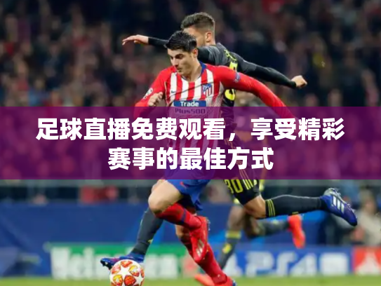 足球直播免费观看，享受精彩赛事的最佳方式