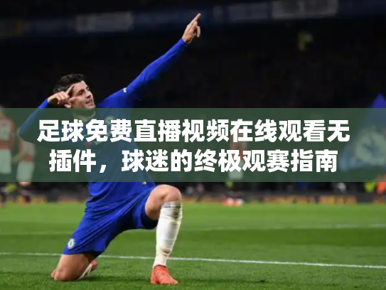 足球免费直播视频在线观看无插件，球迷的终极观赛指南