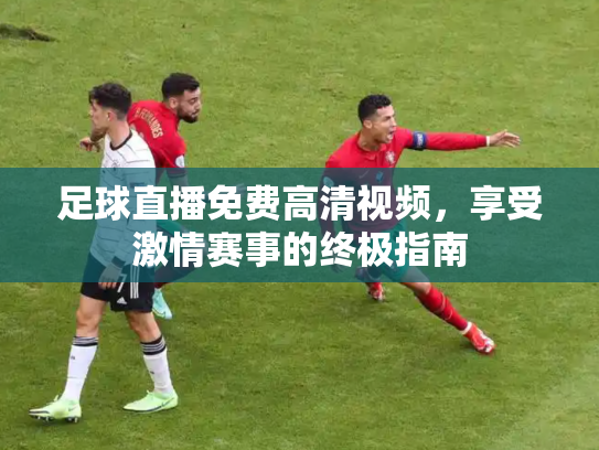 足球直播免费高清视频，享受激情赛事的终极指南