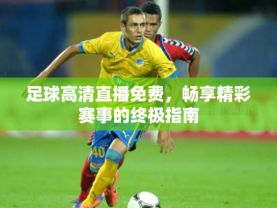 足球高清直播免费，畅享精彩赛事的终极指南