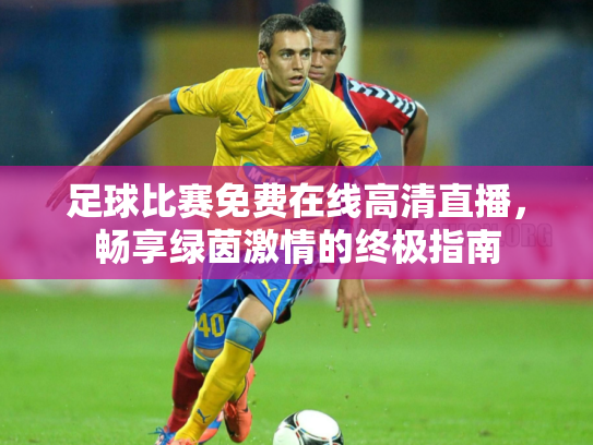 足球比赛免费在线高清直播，畅享绿茵激情的终极指南