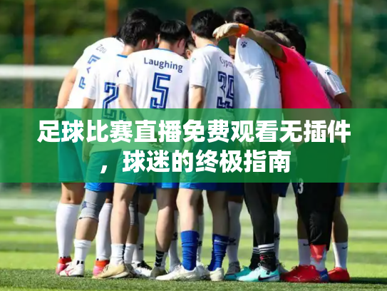 足球比赛直播免费观看无插件，球迷的终极指南