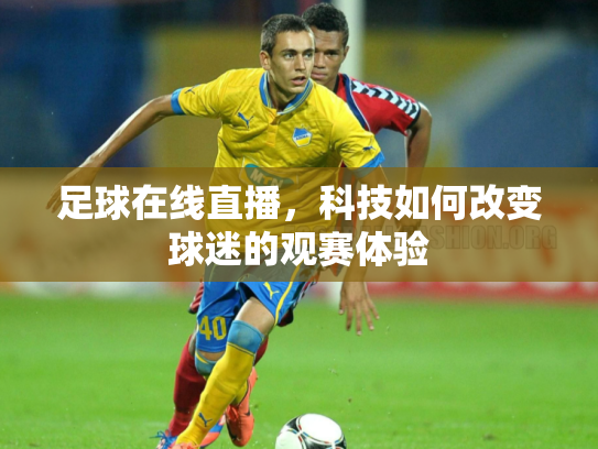 足球在线直播，科技如何改变球迷的观赛体验