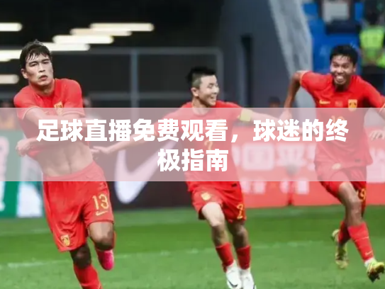 足球直播免费观看，球迷的终极指南