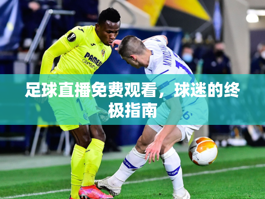 足球直播免费观看，球迷的终极指南