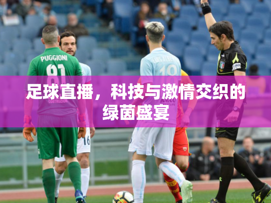 足球直播，科技与激情交织的绿茵盛宴