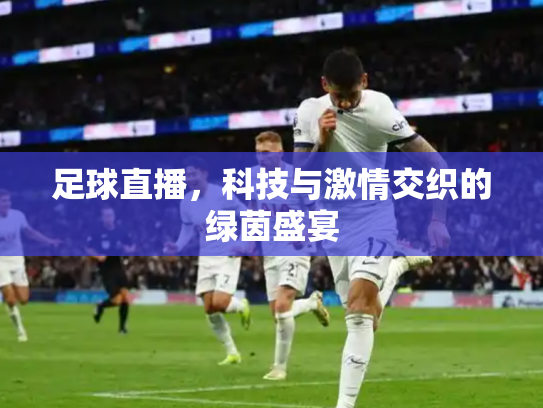 足球直播，科技与激情交织的绿茵盛宴