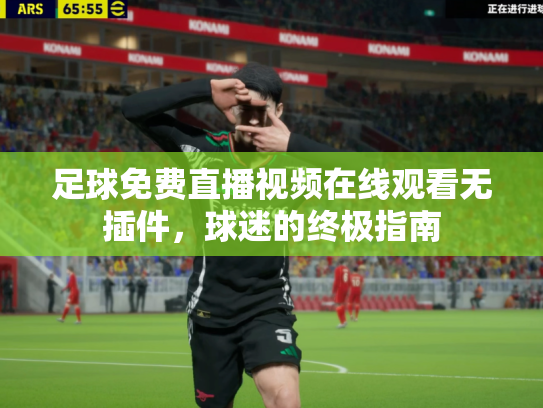 足球免费直播视频在线观看无插件，球迷的终极指南
