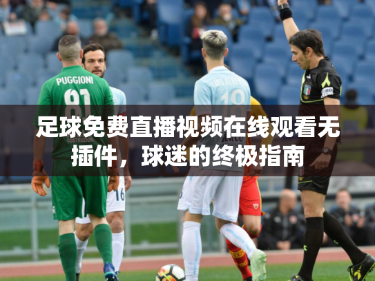 足球免费直播视频在线观看无插件，球迷的终极指南