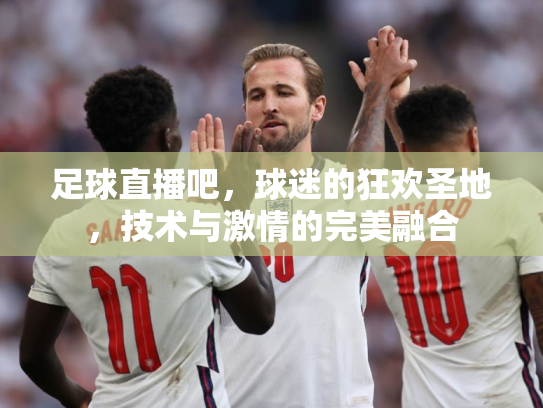 足球直播吧，球迷的狂欢圣地，技术与激情的完美融合