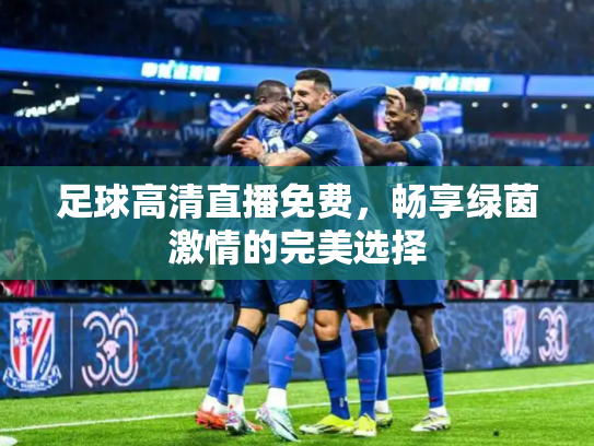 足球高清直播免费，畅享绿茵激情的完美选择