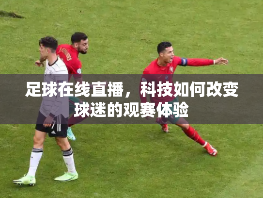 足球在线直播，科技如何改变球迷的观赛体验