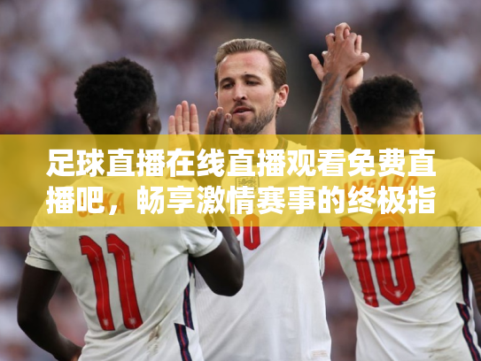 足球直播在线直播观看免费直播吧，畅享激情赛事的终极指南