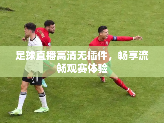 足球直播高清无插件，畅享流畅观赛体验