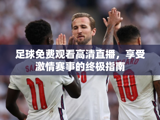 足球免费观看高清直播，享受激情赛事的终极指南