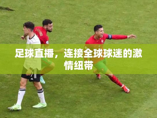 足球直播，连接全球球迷的激情纽带