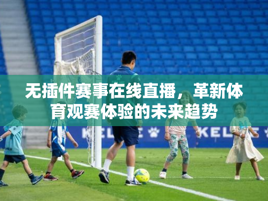无插件赛事在线直播，革新体育观赛体验的未来趋势