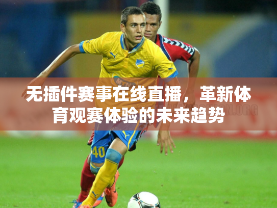 无插件赛事在线直播，革新体育观赛体验的未来趋势