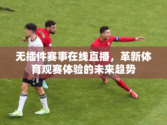 无插件赛事在线直播，革新体育观赛体验的未来趋势