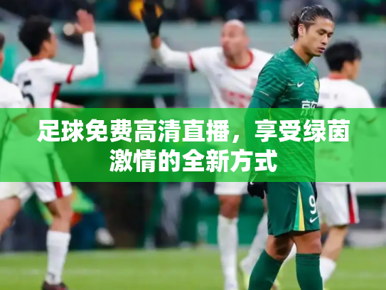 足球免费高清直播，享受绿茵激情的全新方式