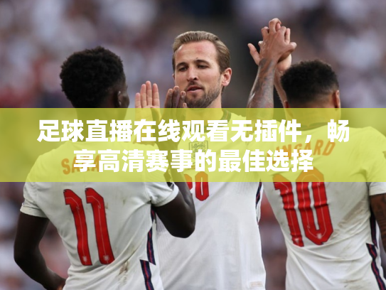足球直播在线观看无插件，畅享高清赛事的最佳选择