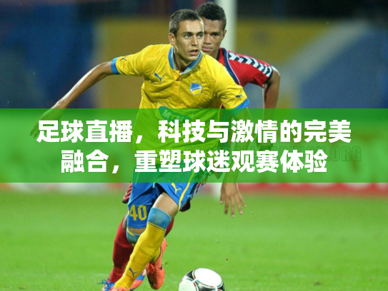 足球直播，科技与激情的完美融合，重塑球迷观赛体验