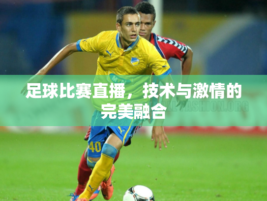 足球比赛直播，技术与激情的完美融合