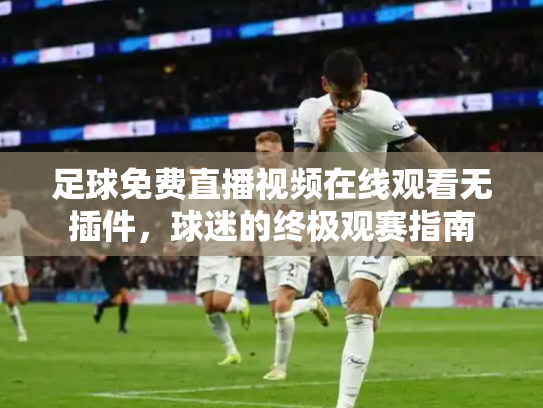 足球免费直播视频在线观看无插件，球迷的终极观赛指南
