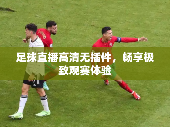 足球直播高清无插件，畅享极致观赛体验