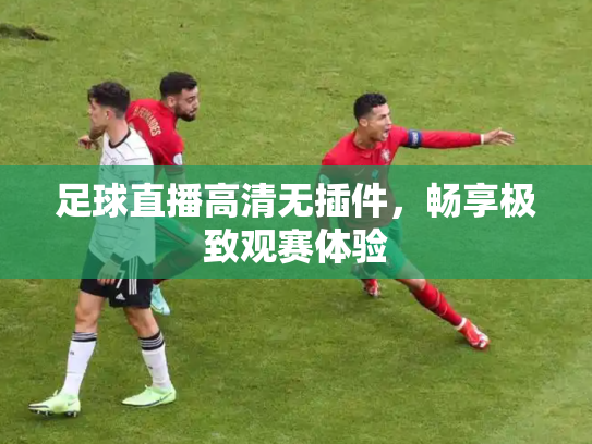 足球直播高清无插件，畅享极致观赛体验