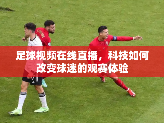 足球视频在线直播，科技如何改变球迷的观赛体验