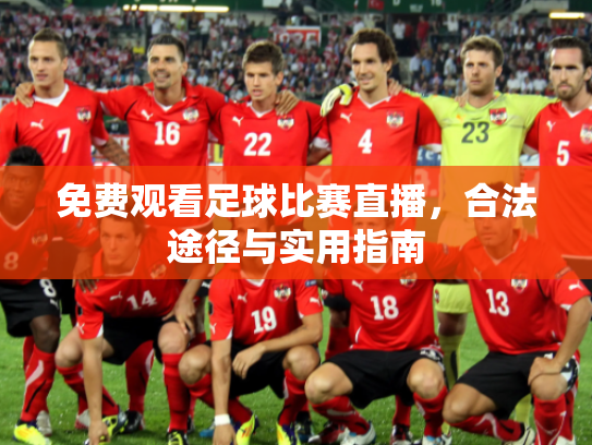 免费观看足球比赛直播，合法途径与实用指南