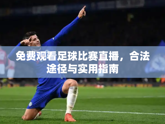 免费观看足球比赛直播，合法途径与实用指南