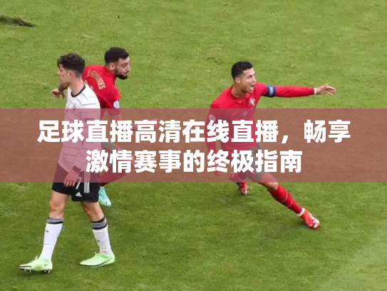 足球直播高清在线直播，畅享激情赛事的终极指南