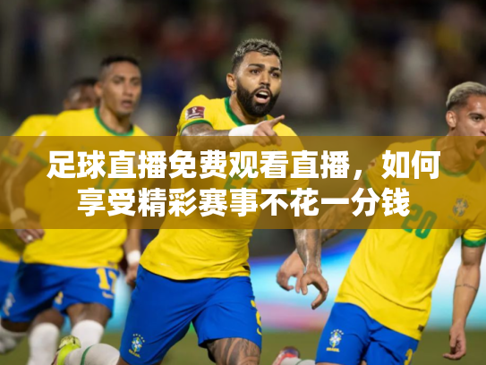 足球直播免费观看直播，如何享受精彩赛事不花一分钱