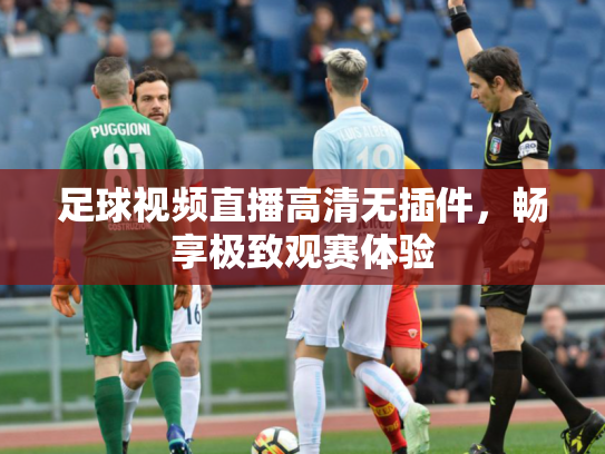 足球视频直播高清无插件，畅享极致观赛体验