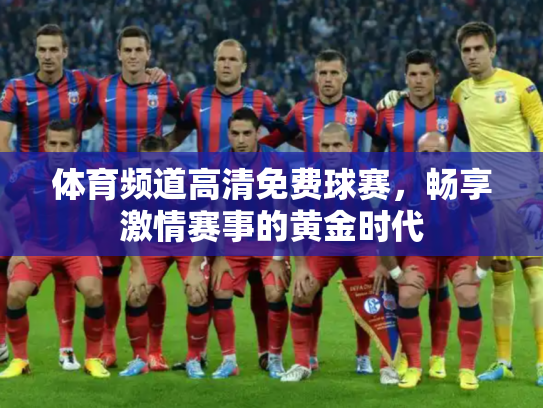体育频道高清免费球赛，畅享激情赛事的黄金时代