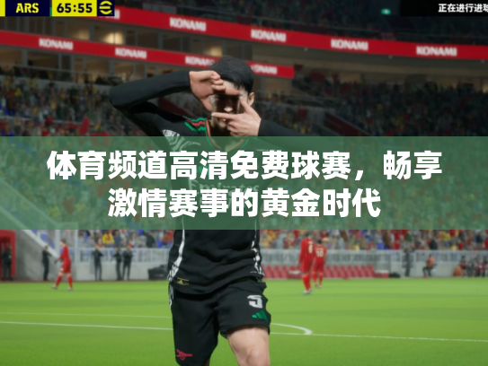 体育频道高清免费球赛，畅享激情赛事的黄金时代