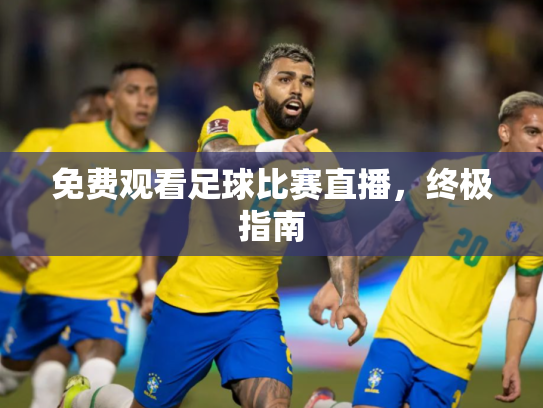 免费观看足球比赛直播，终极指南