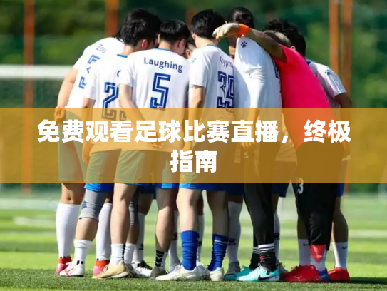 免费观看足球比赛直播，终极指南