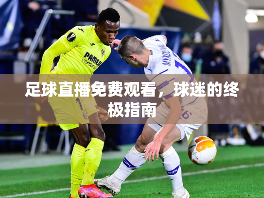 足球直播免费观看，球迷的终极指南