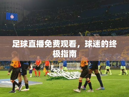 足球直播免费观看，球迷的终极指南