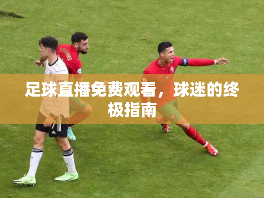 足球直播免费观看，球迷的终极指南